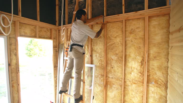 Professional Insulation in Vista Center, NJ